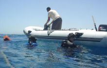 Safari wrakowe - maj 2010