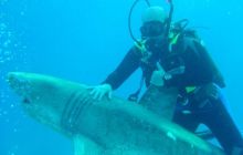 Safari wrakowe - maj 2010