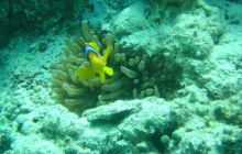 Safari wrakowe - maj 2010