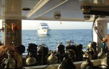 Safari wrakowe - maj 2010