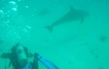 Safari wrakowe - maj 2010