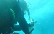 Safari wrakowe - maj 2010