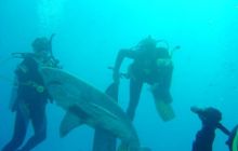 Safari wrakowe - maj 2010