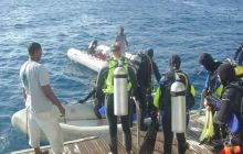 Safari wrakowe - maj 2010