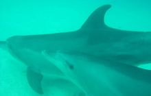 Safari wrakowe - maj 2010