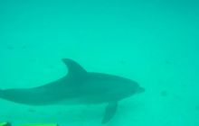 Safari wrakowe - maj 2010