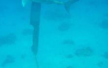 Safari wrakowe - maj 2010