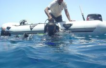 Safari wrakowe - maj 2010