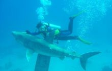 Safari wrakowe - maj 2010