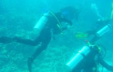 Safari wrakowe - maj 2010