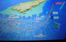 Safari wrakowe - maj 2010