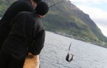 Narvik - czerwiec 2010