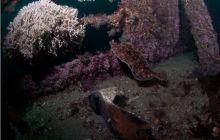 Narvik - czerwiec 2010