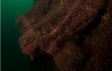 Narvik - czerwiec 2010