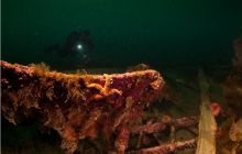 Narvik - czerwiec 2010