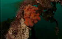 Narvik - czerwiec 2010