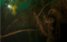 Narvik - czerwiec 2010