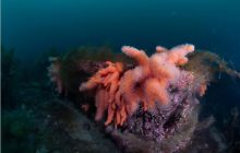 Narvik - czerwiec 2010