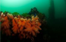 Narvik - czerwiec 2010