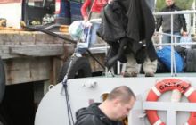 Narvik - czerwiec 2010