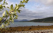 Narvik - czerwiec 2010