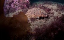 Narvik - czerwiec 2010