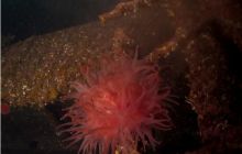 Narvik - czerwiec 2010