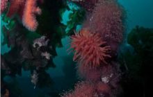 Narvik - czerwiec 2010