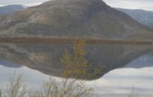 Narvik - czerwiec 2010