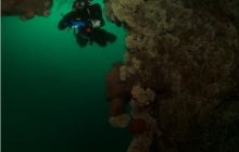 Narvik - czerwiec 2010