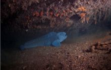 Narvik - czerwiec 2010