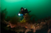 Narvik - czerwiec 2010