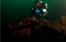 Narvik - czerwiec 2010