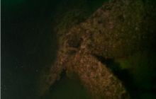 Narvik - czerwiec 2010