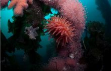 Narvik - czerwiec 2010