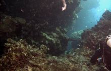 Safari St. johns - październik 2010