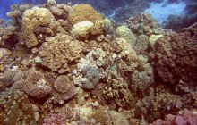 Safari St. johns - październik 2010