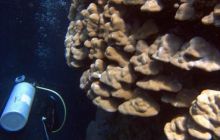 Safari St. johns - październik 2010