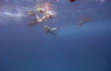 Safari St. johns - październik 2010