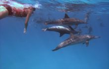 Safari St. johns - październik 2010