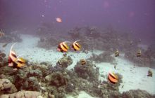 Safari St. johns - październik 2010