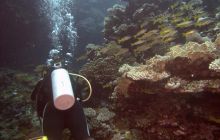 Safari St. johns - październik 2010