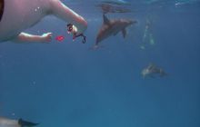 Safari St. johns - październik 2010