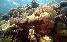 Safari St. johns - październik 2010