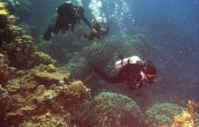 Safari St. johns - październik 2010