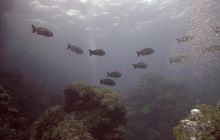 Safari St. johns - październik 2010