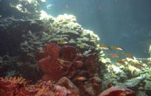 Safari St. johns - październik 2010