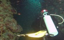 Safari St. johns - październik 2010