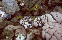 Safari St. johns - październik 2010