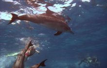 Safari St. johns - październik 2010